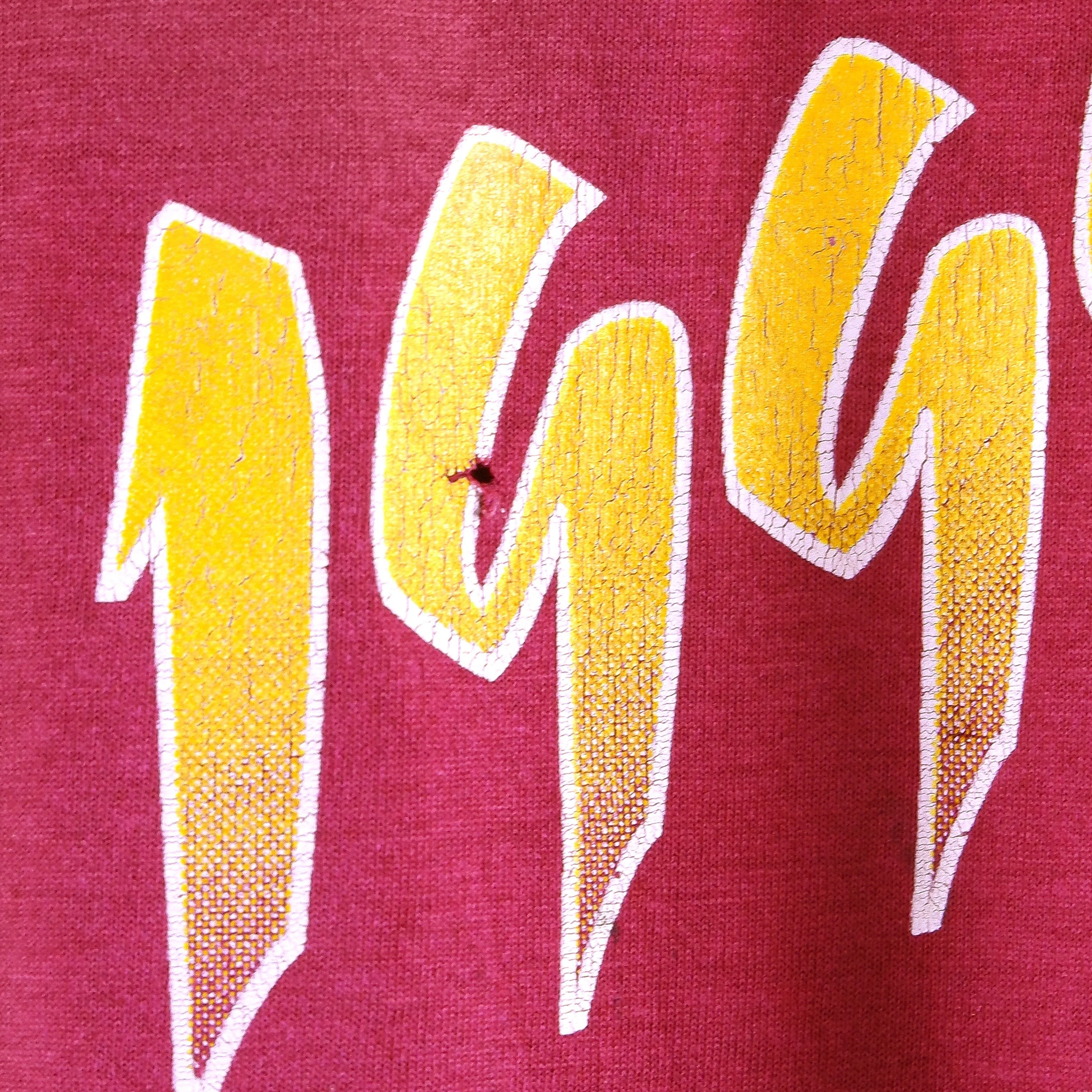 Vintage (BEST) - Alexandria Tigers High School Regional Champs T-Shirt 1995 Large - Image 3