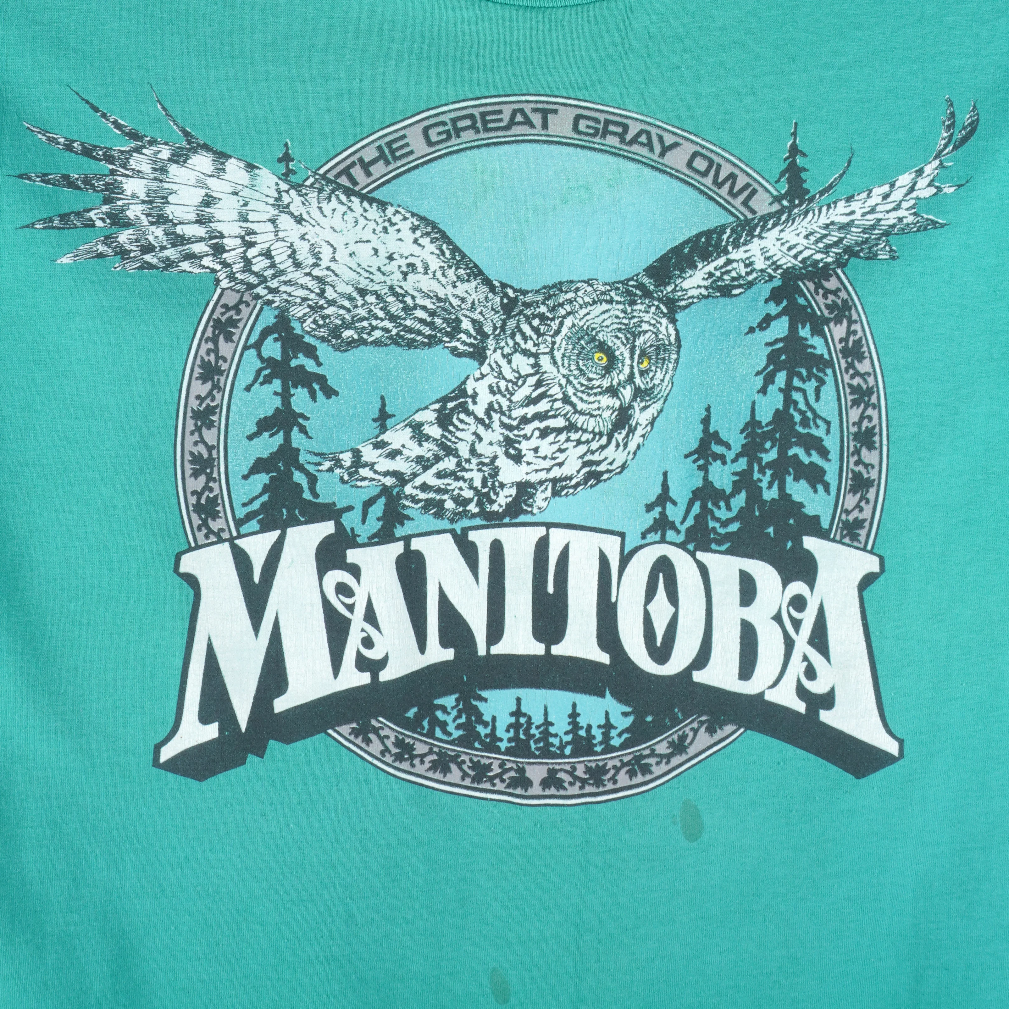 Vintage (Best) - Manitoba Barred Owls Single Stitch T-Shirt 1990s X-Large - Image 4