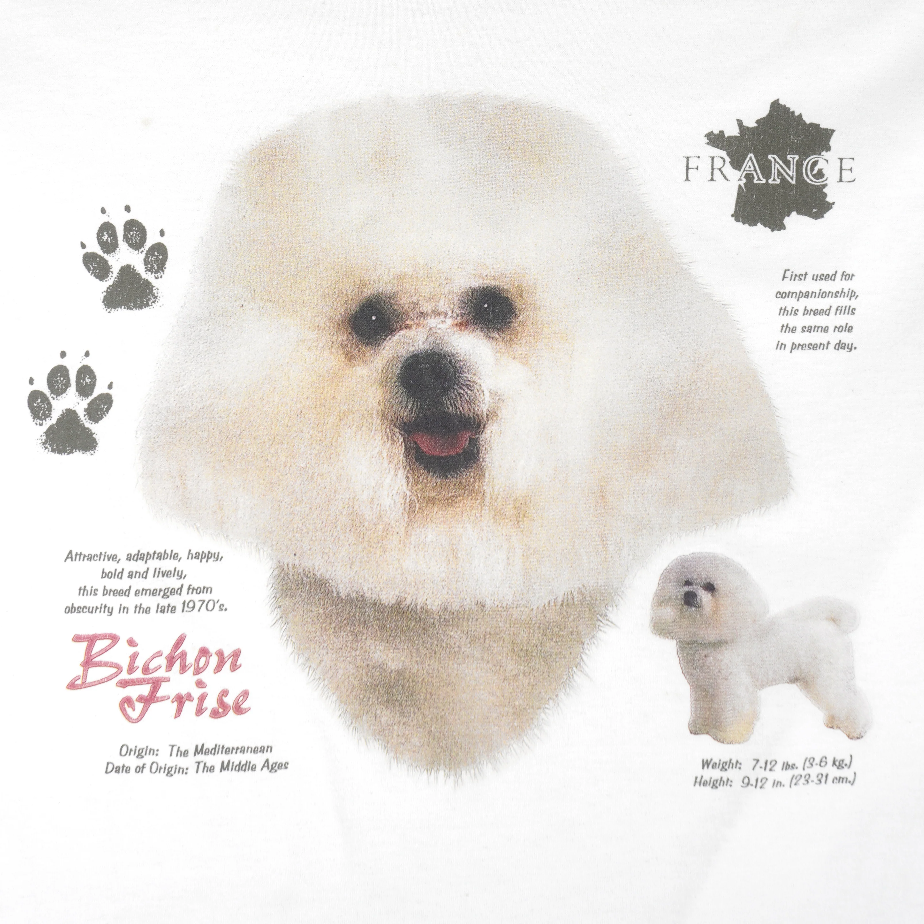 Vintage (Fruit Of The Loom) - Inchon Frise Dog T-Shirt 1990s XX-Large - Image 3