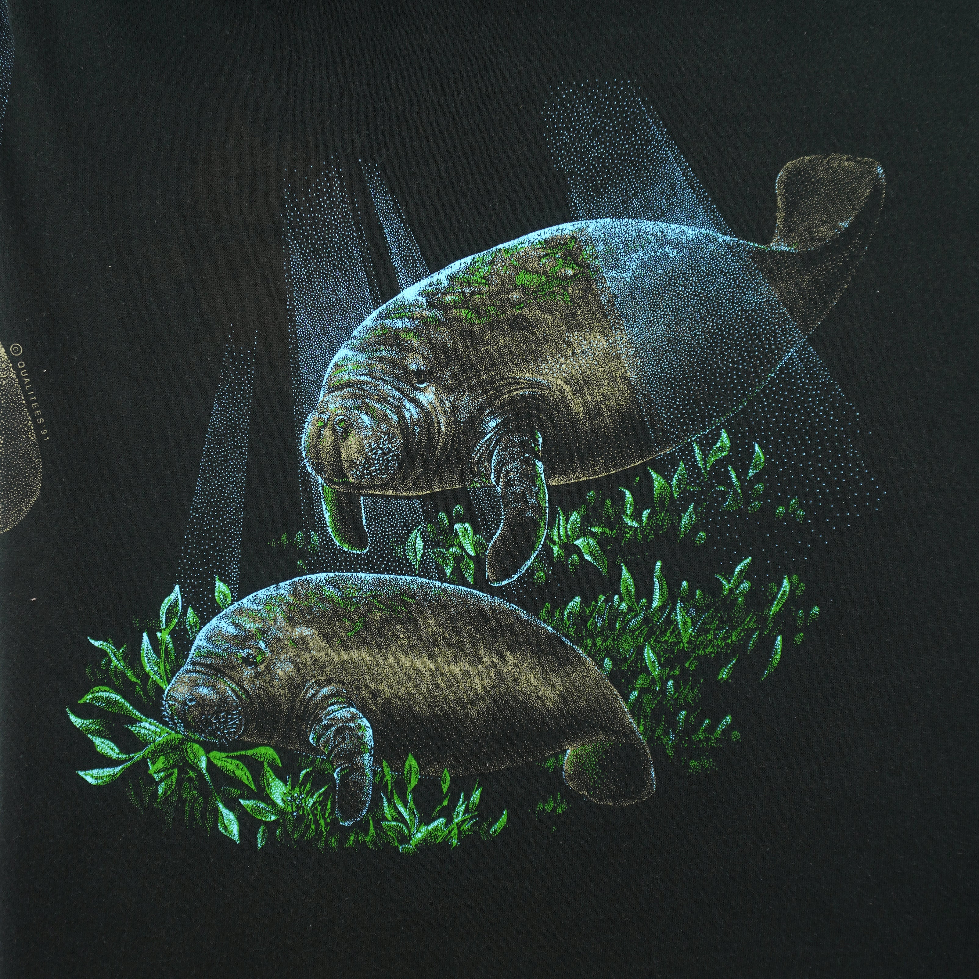 Vintage (Fruit Of The Loom) - Manatee Cocoa Beach T-Shirt 1991 Large - Image 3